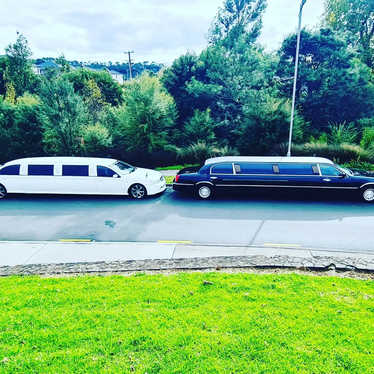 White Ford Falcon stretch limo and black Lincoln stretch limo parked side by side in Auckland